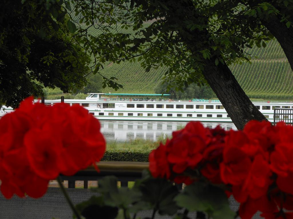 Ferienhaus Mosel Villa Brauneberg Dış mekan fotoğraf